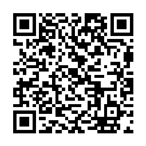 天尊在那里发现了上古荒兽以及真正仙禽神兽的踪迹二维码生成