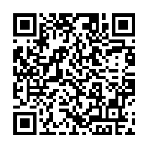 天山派的新任掌门青瑶正送自己的徒儿圣女洛子衿下山二维码生成