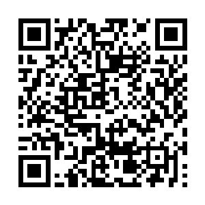 天帝是不会为了一个无关轻重的人闹得后宫不宁的二维码生成