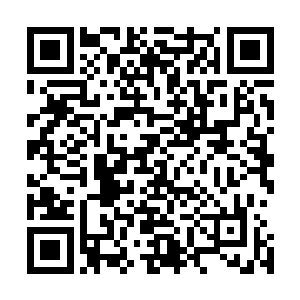天幕上若隐若现的微弱星光根本不足以照亮他们前进的方向二维码生成