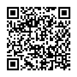 天星海的战利品就应该放在天星岛的宝库中才对二维码生成