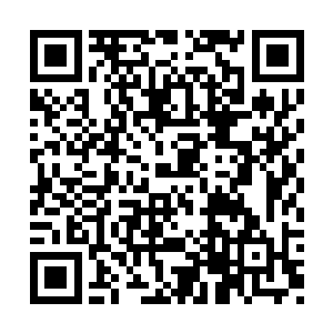 天星阵道毕竟属于不次于十二主天道的强大天道二维码生成