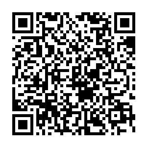 天机门也先预定每年50个进入第一层洞天之中磨练战技的骑士名额二维码生成