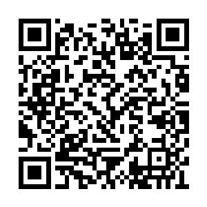 天武狼院摩拳擦掌准备大干一场的学员们傻眼了二维码生成