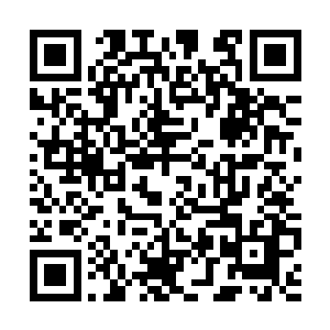 天灵殿几名神殿长老似乎早就知道剑尘会有此一说二维码生成