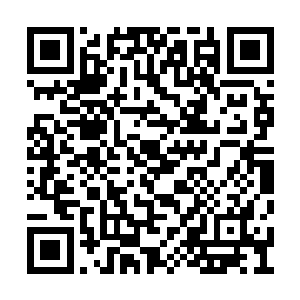 天灵殿几名神殿长老脸色都变得有些难看了起來二维码生成