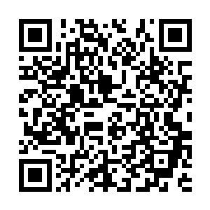 天狮佣兵团在混乱之地虽然也属于顶尖的势力之一二维码生成