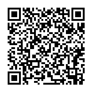 天琴家族的一群人都老老实实的呆在大周皇室安排的那栋读力小院中二维码生成