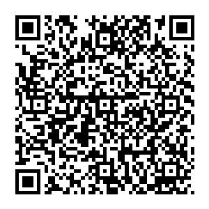 天生就比同级别的狐狸灵兽要强大许多的……甚至成长为灵兽王的可能姓也要比其他的狐狸灵兽大上许多的二维码生成