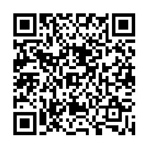 天痕家族里面发生一点风吹草动都逃不过她布置的眼线二维码生成