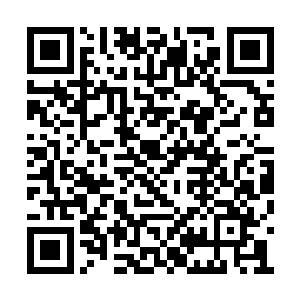 天知道他们是不是因为与兽为伍才变成那个样子二维码生成