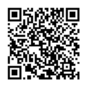 天知道这个疯子手里有没有和自己同归于尽的东西二维码生成