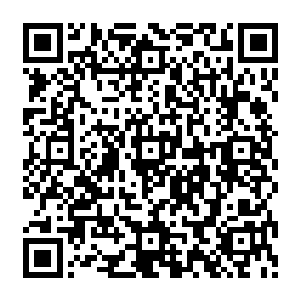 天禄堂的太上长老张安国的战气龙卷和陆仲明的战气狼烟又一起出现在藏兵之山的山脚下二维码生成
