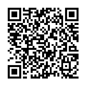 天空中旋翼击打的声音就如跗骨之蛆一般缠上来二维码生成