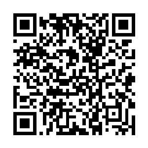 天空中的那双巨目便突然如同一缕缕元力消散在空中二维码生成