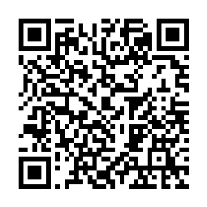 天花板上仍然有意识的传奇强者们不由纷纷怒骂出声二维码生成