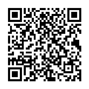 天葵不是前一段时间一门大长老报上来的那个拥有领域的天才吗二维码生成