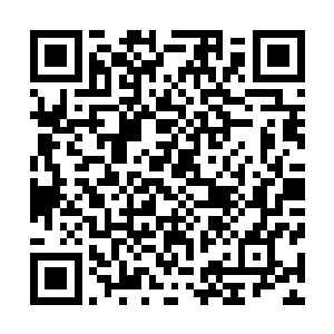 天蓬发现他们派出许多人在透过围栏那微小的缝隙往你查看二维码生成