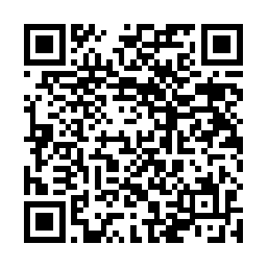 天血傀儡身上的创伤也再也没有出现丝毫的愈合的迹象二维码生成