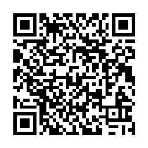 天行者的那句旁白――强大的原力在我们家族内部流传二维码生成