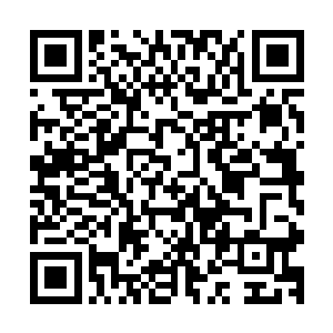 天赐婆婆完全没有想到夜染居然一句话说出了真正的事情真相二维码生成