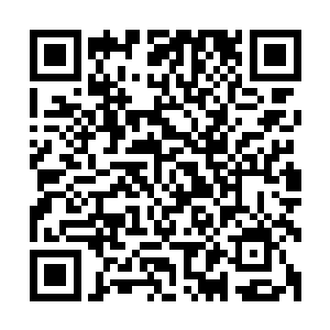 天赐婆婆带着几丝皱纹却仍旧风韵犹存的容颜上有着一抹笑容二维码生成