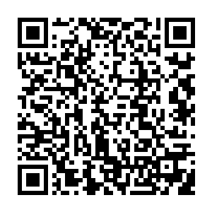 天道可没有想到自己刚才用了一个震撼的方式打消了花朵去高速送死的心思二维码生成