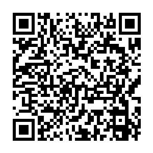 天道笑呵呵的看着一脸心疼自己的流年哭哭啼啼的摸着自己的伤口二维码生成