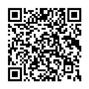 天都太子的胸膛被柳红袖硬生生抓下一块血肉来二维码生成