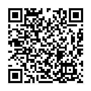 天钟域内一些实力强大并且地位较高的强者都知道二维码生成