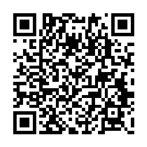 天门中的所有蝙蝠妖兽都被卷入了山河社稷图中二维码生成