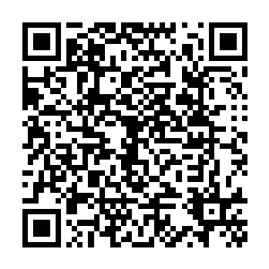 天龙寺七十二绝技每一项都是普通人穷极一生都无法学会的顶级武学二维码生成