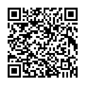 天龙财团在绿色新农业领域一直在世界上都是很出名的二维码生成