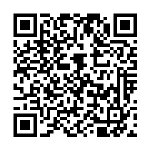 太上境强者尝试过无数种突破之路但始终没有成功过二维码生成