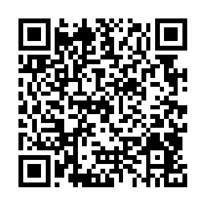 太上大长老的眼底顿时也露出了一抹惊恐的神情二维码生成