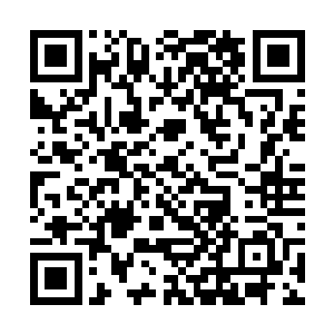 太乙玄门的骑士们的身上的装备并没有多奢华和高级二维码生成