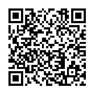 太古红龙厄尔的力量明显盖过了其他龙族的太古龙二维码生成