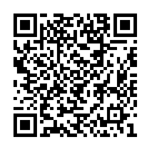 太后批复了半个月前右相曹德安亲手提交的奏章二维码生成