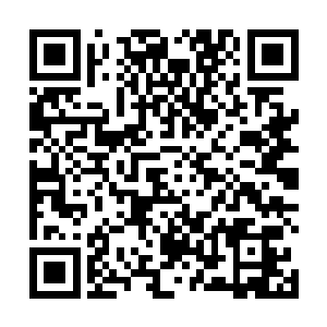 太夏华族的张姓先祖可是远古之时轩辕大帝的嫡系血脉二维码生成