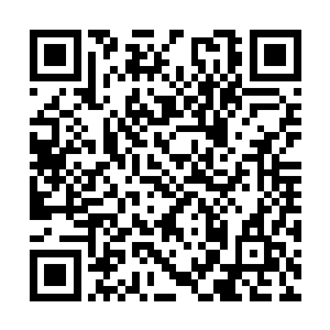 太子殿下很有可能会成为叱咤整个三千界的大人物二维码生成