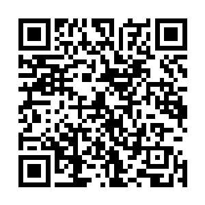 太子殿下是黑水玄蛇一族无数年来血脉最为纯正的一位奇才二维码生成