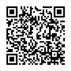 太子的手下肯定已经彻底的将我们丞相府看守起来了二维码生成