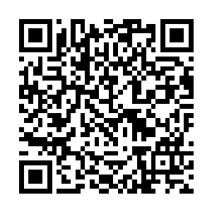 太空城市陆地面积的总和基本上跟地球陆地面积持平二维码生成