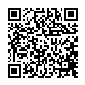 太虚宗修士获得的胜利要比巨人族和鲲鹏族场次多上一些二维码生成