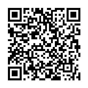 太虚宗连续斩杀了两批脱离城主府的散修消息传到了城主府二维码生成