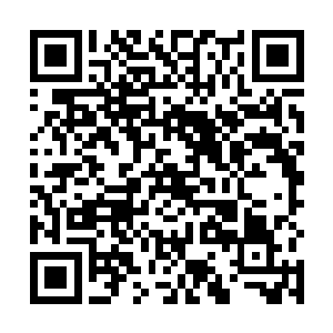 太过新奇热闹连那些嗜赌如命的赌徒们也纷纷出来围观二维码生成