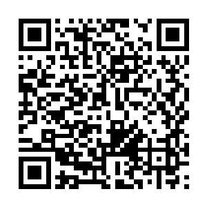 夭华能感觉到自己对这个人已经越来越有些不一样二维码生成