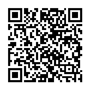 夭华脸上的面容俨然如翻书一般转眼间变为了皮笑肉不笑二维码生成