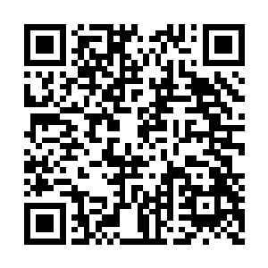 失去了主人控制的法器就嵌在了黑蛟蛛的后背上二维码生成