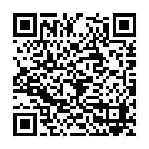 失去了遮掩的切斯塔伯特真身直接暴露在雷电之下二维码生成